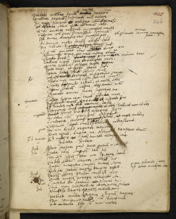 Sloane ms 1775 f246r.jpg
